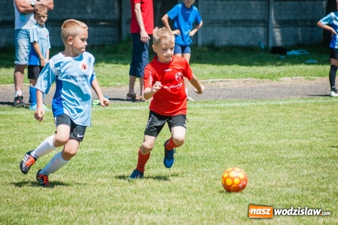 Zdjęcie w galerii na portalu naszwodzislaw.com: Tworków Cup 2017. FP Jasienica zwycięska w kategorii żaków. Dobre lokaty Odry Centrum i Naprzodu Rydułtowy wiadomości z regionu