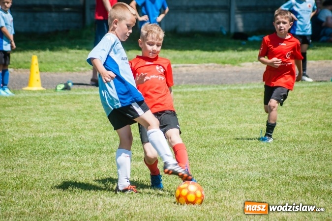 Zdjęcie w galerii na portalu naszwodzislaw.com: Tworków Cup 2017. FP Jasienica zwycięska w kategorii żaków. Dobre lokaty Odry Centrum i Naprzodu Rydułtowy wiadomości z regionu