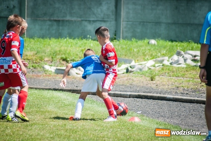 Zdjęcie w galerii na portalu naszwodzislaw.com: Tworków Cup 2017. FP Jasienica zwycięska w kategorii żaków. Dobre lokaty Odry Centrum i Naprzodu Rydułtowy wiadomości z regionu