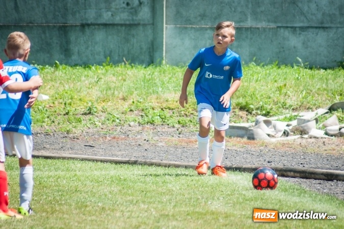 Zdjęcie w galerii na portalu naszwodzislaw.com: Tworków Cup 2017. FP Jasienica zwycięska w kategorii żaków. Dobre lokaty Odry Centrum i Naprzodu Rydułtowy wiadomości z regionu