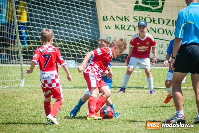 Zdjęcie w galerii na portalu naszwodzislaw.com: Tworków Cup 2017. FP Jasienica zwycięska w kategorii żaków. Dobre lokaty Odry Centrum i Naprzodu Rydułtowy wiadomości z regionu