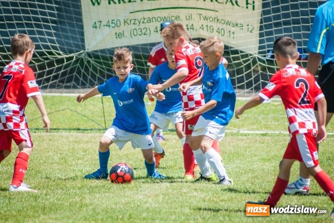 Zdjęcie w galerii na portalu naszwodzislaw.com: Tworków Cup 2017. FP Jasienica zwycięska w kategorii żaków. Dobre lokaty Odry Centrum i Naprzodu Rydułtowy wiadomości z regionu