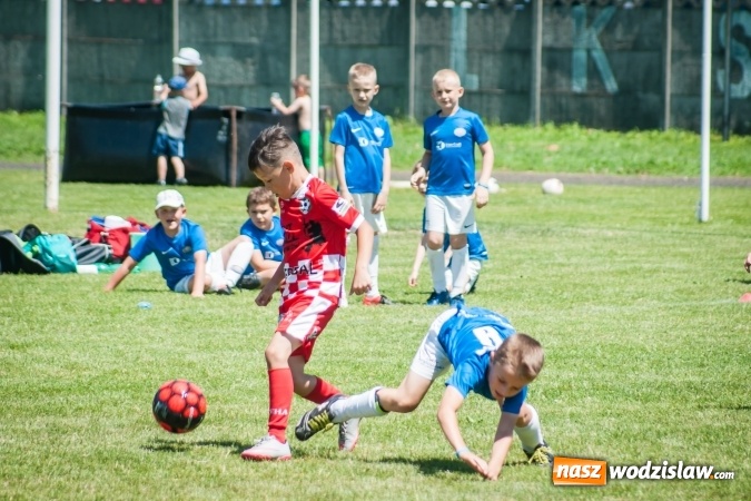 Zdjęcie w galerii na portalu naszwodzislaw.com: Tworków Cup 2017. FP Jasienica zwycięska w kategorii żaków. Dobre lokaty Odry Centrum i Naprzodu Rydułtowy wiadomości z regionu