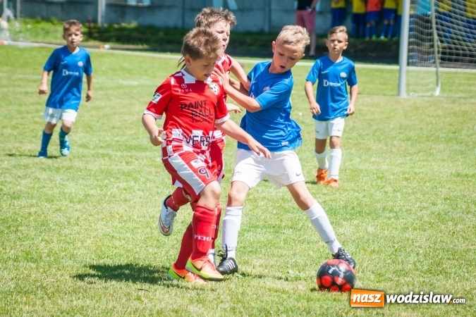 Zdjęcie w galerii na portalu naszwodzislaw.com: Tworków Cup 2017. FP Jasienica zwycięska w kategorii żaków. Dobre lokaty Odry Centrum i Naprzodu Rydułtowy wiadomości z regionu