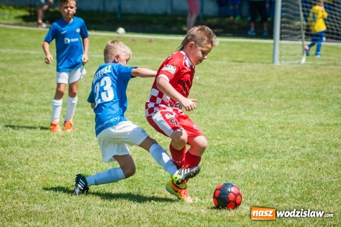 Zdjęcie w galerii na portalu naszwodzislaw.com: Tworków Cup 2017. FP Jasienica zwycięska w kategorii żaków. Dobre lokaty Odry Centrum i Naprzodu Rydułtowy wiadomości z regionu
