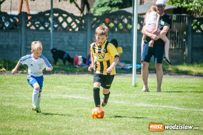 Zdjęcie w galerii na portalu naszwodzislaw.com: Tworków Cup 2017. FP Jasienica zwycięska w kategorii żaków. Dobre lokaty Odry Centrum i Naprzodu Rydułtowy wiadomości z regionu