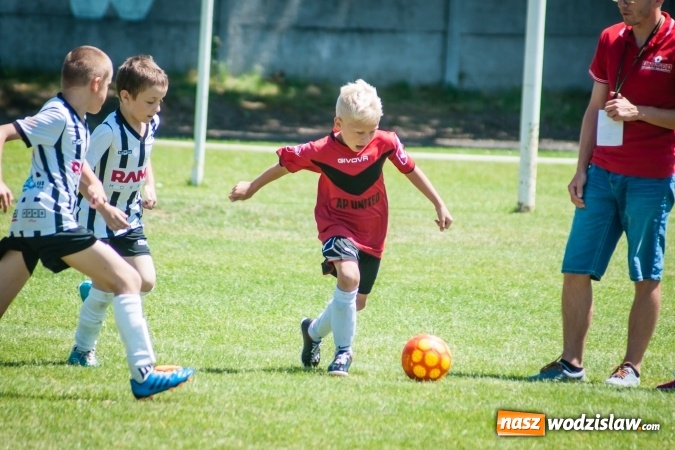 Zdjęcie w galerii na portalu naszwodzislaw.com: Tworków Cup 2017. FP Jasienica zwycięska w kategorii żaków. Dobre lokaty Odry Centrum i Naprzodu Rydułtowy wiadomości z regionu