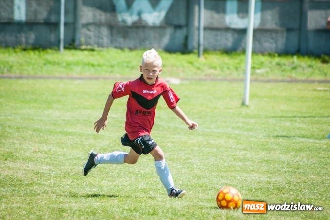 Zdjęcie w galerii na portalu naszwodzislaw.com: Tworków Cup 2017. FP Jasienica zwycięska w kategorii żaków. Dobre lokaty Odry Centrum i Naprzodu Rydułtowy wiadomości z regionu