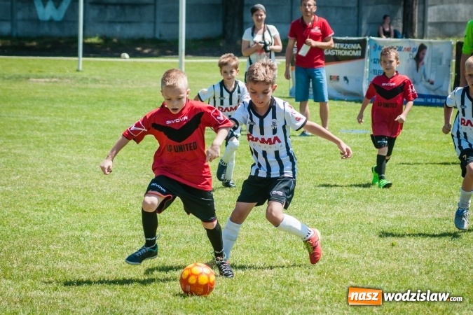 Zdjęcie w galerii na portalu naszwodzislaw.com: Tworków Cup 2017. FP Jasienica zwycięska w kategorii żaków. Dobre lokaty Odry Centrum i Naprzodu Rydułtowy wiadomości z regionu