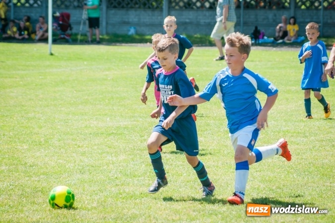 Zdjęcie w galerii na portalu naszwodzislaw.com: Tworków Cup 2017. FP Jasienica zwycięska w kategorii żaków. Dobre lokaty Odry Centrum i Naprzodu Rydułtowy wiadomości z regionu