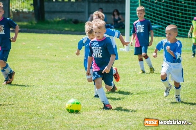 Zdjęcie w galerii na portalu naszwodzislaw.com: Tworków Cup 2017. FP Jasienica zwycięska w kategorii żaków. Dobre lokaty Odry Centrum i Naprzodu Rydułtowy wiadomości z regionu