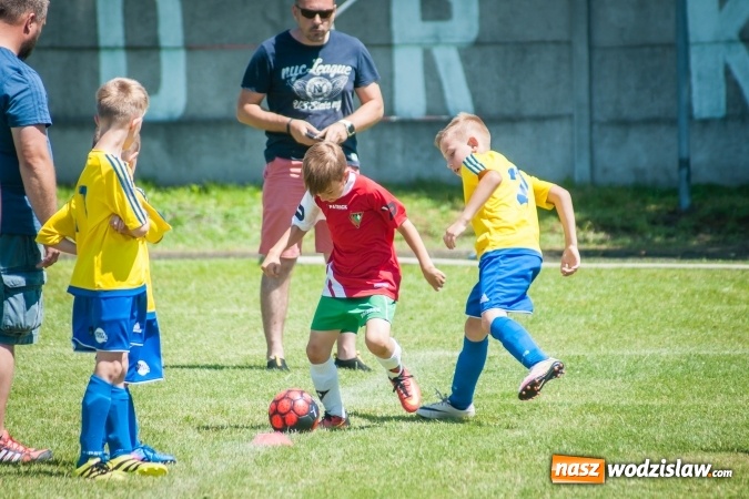 Zdjęcie w galerii na portalu naszwodzislaw.com: Tworków Cup 2017. FP Jasienica zwycięska w kategorii żaków. Dobre lokaty Odry Centrum i Naprzodu Rydułtowy wiadomości z regionu