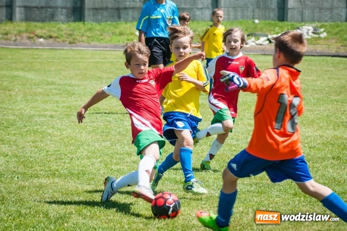 Zdjęcie w galerii na portalu naszwodzislaw.com: Tworków Cup 2017. FP Jasienica zwycięska w kategorii żaków. Dobre lokaty Odry Centrum i Naprzodu Rydułtowy wiadomości z regionu