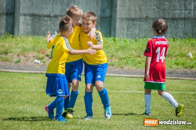 Zdjęcie w galerii na portalu naszwodzislaw.com: Tworków Cup 2017. FP Jasienica zwycięska w kategorii żaków. Dobre lokaty Odry Centrum i Naprzodu Rydułtowy wiadomości z regionu