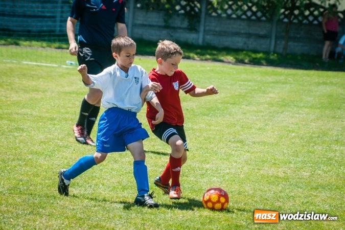 Zdjęcie w galerii na portalu naszwodzislaw.com: Tworków Cup 2017. FP Jasienica zwycięska w kategorii żaków. Dobre lokaty Odry Centrum i Naprzodu Rydułtowy wiadomości z regionu