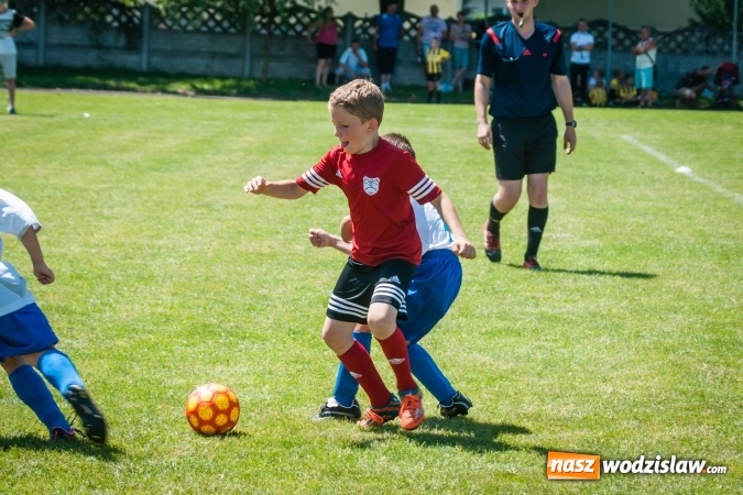 Zdjęcie w galerii na portalu naszwodzislaw.com: Tworków Cup 2017. FP Jasienica zwycięska w kategorii żaków. Dobre lokaty Odry Centrum i Naprzodu Rydułtowy wiadomości z regionu