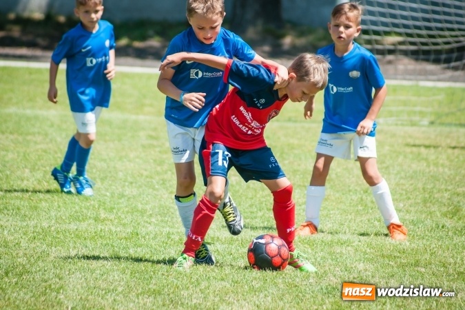 Zdjęcie w galerii na portalu naszwodzislaw.com: Tworków Cup 2017. FP Jasienica zwycięska w kategorii żaków. Dobre lokaty Odry Centrum i Naprzodu Rydułtowy wiadomości z regionu