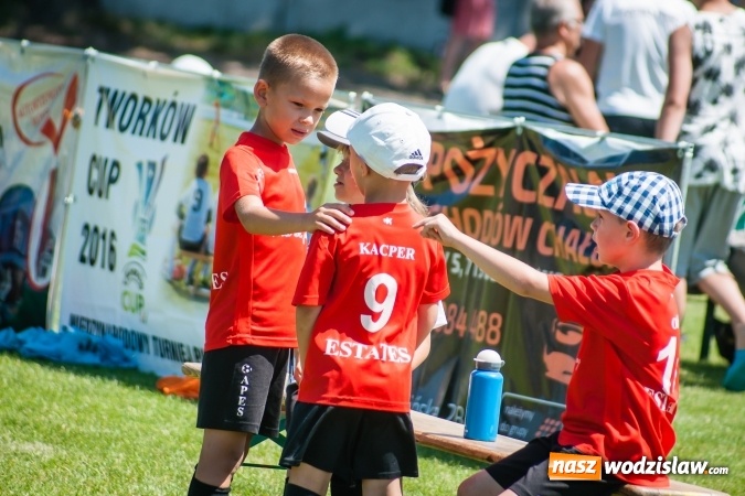 Zdjęcie w galerii na portalu naszwodzislaw.com: Tworków Cup 2017. FP Jasienica zwycięska w kategorii żaków. Dobre lokaty Odry Centrum i Naprzodu Rydułtowy wiadomości z regionu