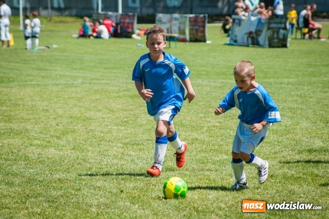 Zdjęcie w galerii na portalu naszwodzislaw.com: Tworków Cup 2017. FP Jasienica zwycięska w kategorii żaków. Dobre lokaty Odry Centrum i Naprzodu Rydułtowy wiadomości z regionu