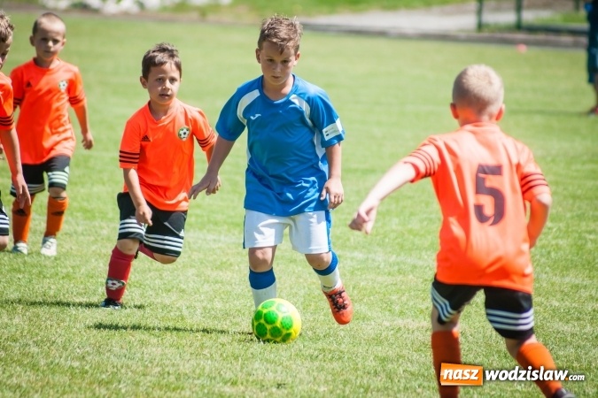 Zdjęcie w galerii na portalu naszwodzislaw.com: Tworków Cup 2017. FP Jasienica zwycięska w kategorii żaków. Dobre lokaty Odry Centrum i Naprzodu Rydułtowy wiadomości z regionu