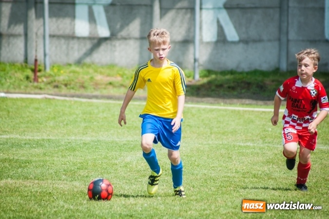 Zdjęcie w galerii na portalu naszwodzislaw.com: Tworków Cup 2017. FP Jasienica zwycięska w kategorii żaków. Dobre lokaty Odry Centrum i Naprzodu Rydułtowy wiadomości z regionu