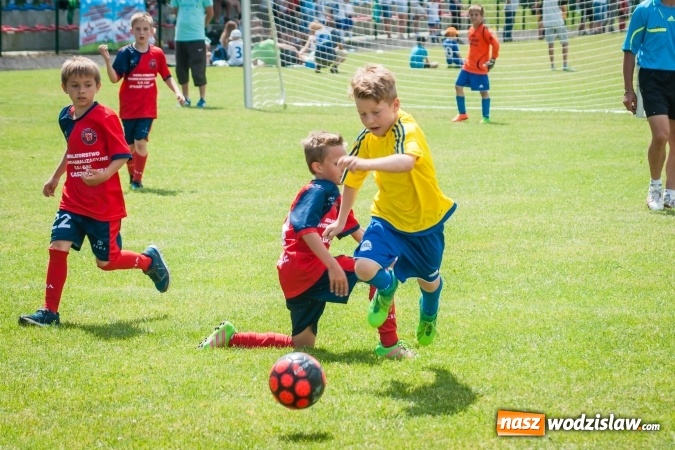 Zdjęcie w galerii na portalu naszwodzislaw.com: Tworków Cup 2017. FP Jasienica zwycięska w kategorii żaków. Dobre lokaty Odry Centrum i Naprzodu Rydułtowy wiadomości z regionu