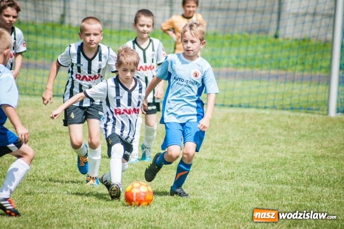 Zdjęcie w galerii na portalu naszwodzislaw.com: Tworków Cup 2017. FP Jasienica zwycięska w kategorii żaków. Dobre lokaty Odry Centrum i Naprzodu Rydułtowy wiadomości z regionu