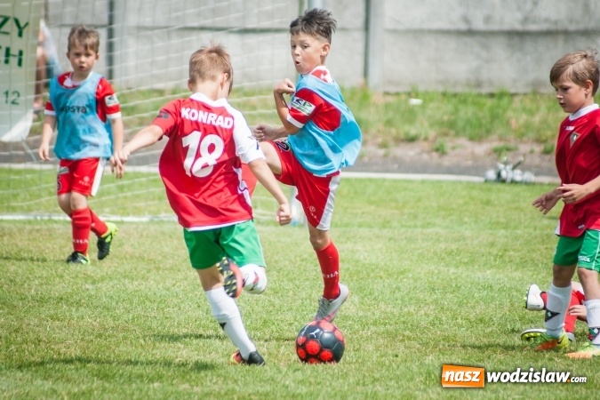 Zdjęcie w galerii na portalu naszwodzislaw.com: Tworków Cup 2017. FP Jasienica zwycięska w kategorii żaków. Dobre lokaty Odry Centrum i Naprzodu Rydułtowy wiadomości z regionu