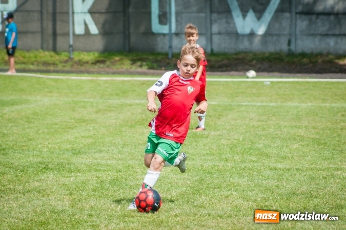 Zdjęcie w galerii na portalu naszwodzislaw.com: Tworków Cup 2017. FP Jasienica zwycięska w kategorii żaków. Dobre lokaty Odry Centrum i Naprzodu Rydułtowy wiadomości z regionu