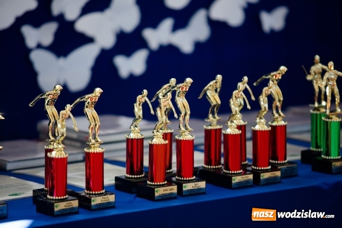 Zdjęcie w galerii na portalu naszwodzislaw.com: Radlińskie Oskary rozdane. ZDJĘCIA wiadomości z regionu