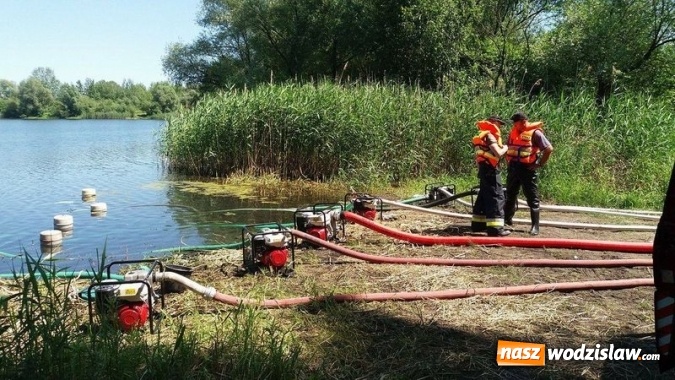 Zdjęcie w galerii na portalu naszwodzislaw.com: Ćwiczenia przeciwpowodziowe na polderze Buk&oacute;w. ZDJĘCIA wiadomości z regionu