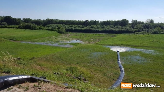 Zdjęcie w galerii na portalu naszwodzislaw.com: Ćwiczenia przeciwpowodziowe na polderze Buk&oacute;w. ZDJĘCIA wiadomości z regionu