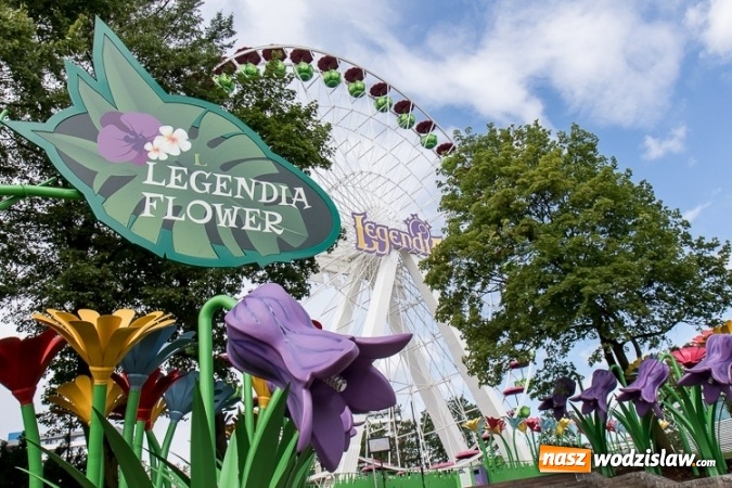 Zdjęcie w galerii na portalu naszwodzislaw.com: 104 sekundy na adrenalinie. Ruszył największy rollercoaster w Polsce wiadomości z regionu