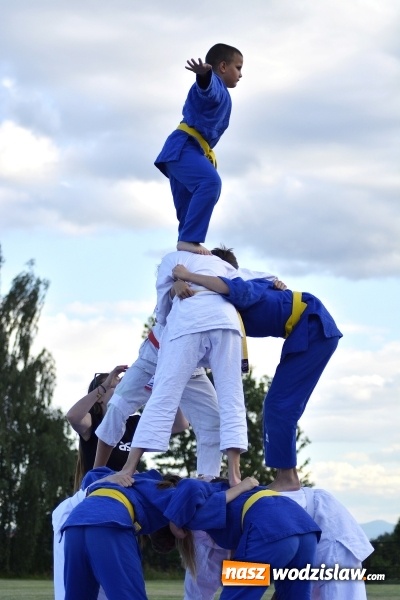 Zdjęcie w galerii na portalu naszwodzislaw.com: Każdy znalazł coś dla siebie. Za nami festyn rodzinny na Wilchwach  wiadomości z regionu