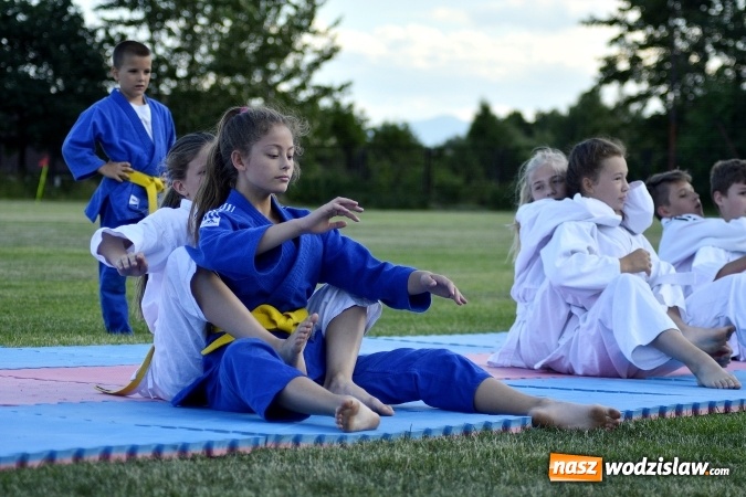 Zdjęcie w galerii na portalu naszwodzislaw.com: Każdy znalazł coś dla siebie. Za nami festyn rodzinny na Wilchwach  wiadomości z regionu