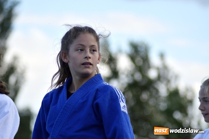 Zdjęcie w galerii na portalu naszwodzislaw.com: Każdy znalazł coś dla siebie. Za nami festyn rodzinny na Wilchwach  wiadomości z regionu