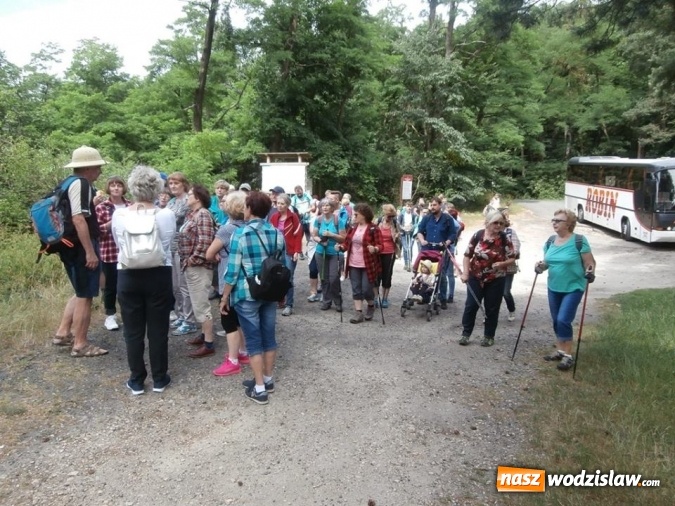 Zdjęcie w galerii na portalu naszwodzislaw.com: Podziwiali uroki Jury Krakowsko-Częstochowskiej  wiadomości z regionu