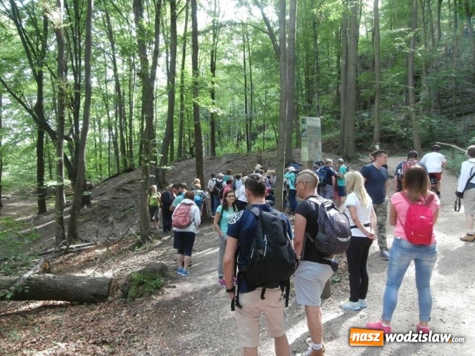 Zdjęcie w galerii na portalu naszwodzislaw.com: Podziwiali uroki Jury Krakowsko-Częstochowskiej  wiadomości z regionu