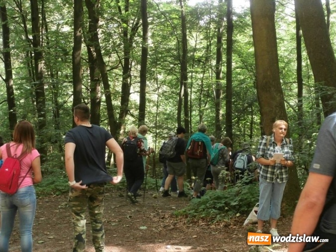 Zdjęcie w galerii na portalu naszwodzislaw.com: Podziwiali uroki Jury Krakowsko-Częstochowskiej  wiadomości z regionu