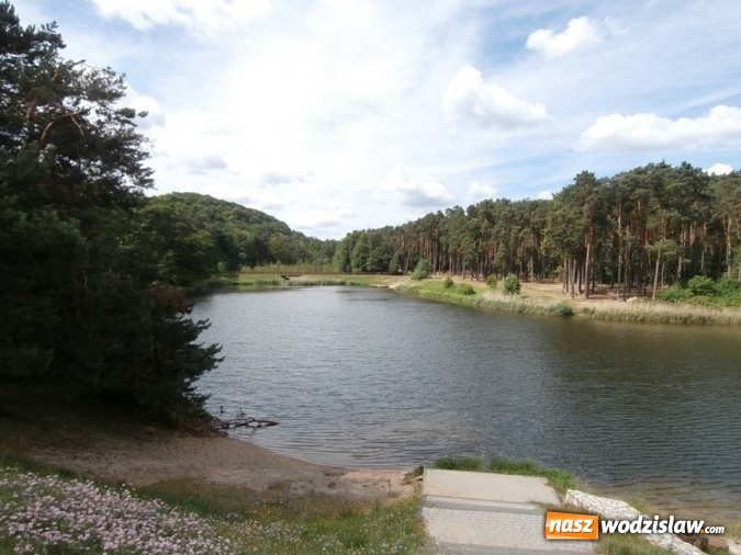 Zdjęcie w galerii na portalu naszwodzislaw.com: Podziwiali uroki Jury Krakowsko-Częstochowskiej  wiadomości z regionu