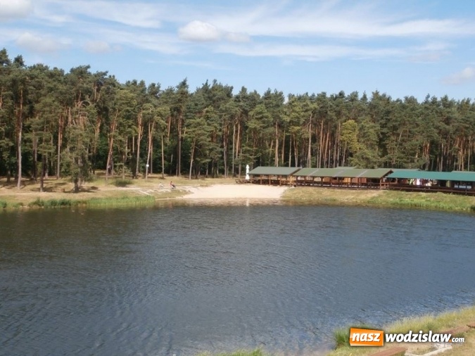 Zdjęcie w galerii na portalu naszwodzislaw.com: Podziwiali uroki Jury Krakowsko-Częstochowskiej  wiadomości z regionu