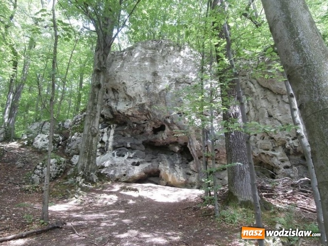 Zdjęcie w galerii na portalu naszwodzislaw.com: Podziwiali uroki Jury Krakowsko-Częstochowskiej  wiadomości z regionu