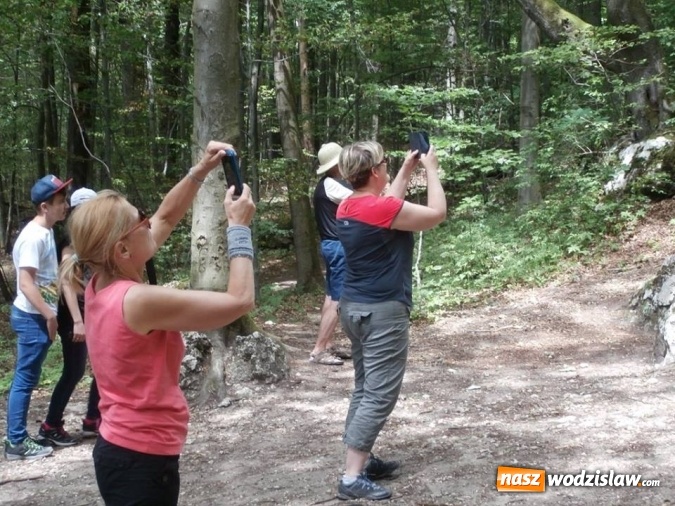 Zdjęcie w galerii na portalu naszwodzislaw.com: Podziwiali uroki Jury Krakowsko-Częstochowskiej  wiadomości z regionu