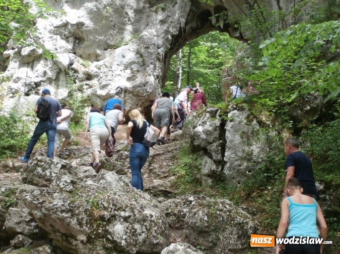 Zdjęcie w galerii na portalu naszwodzislaw.com: Podziwiali uroki Jury Krakowsko-Częstochowskiej  wiadomości z regionu