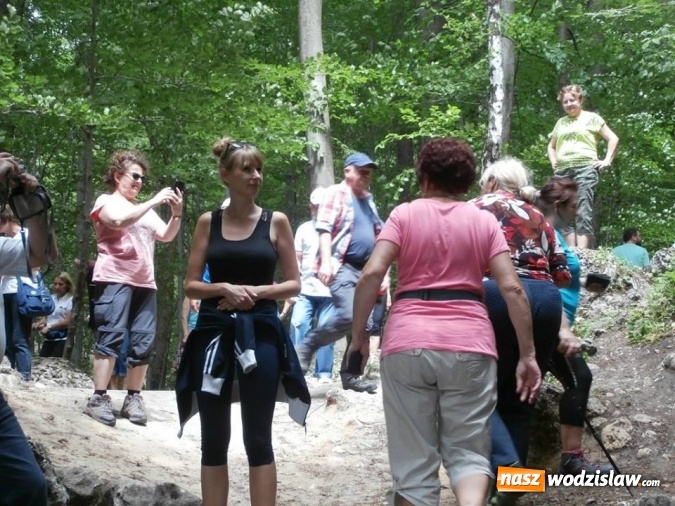 Zdjęcie w galerii na portalu naszwodzislaw.com: Podziwiali uroki Jury Krakowsko-Częstochowskiej  wiadomości z regionu