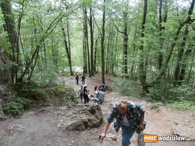 Zdjęcie w galerii na portalu naszwodzislaw.com: Podziwiali uroki Jury Krakowsko-Częstochowskiej  wiadomości z regionu