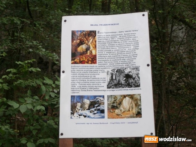 Zdjęcie w galerii na portalu naszwodzislaw.com: Podziwiali uroki Jury Krakowsko-Częstochowskiej  wiadomości z regionu