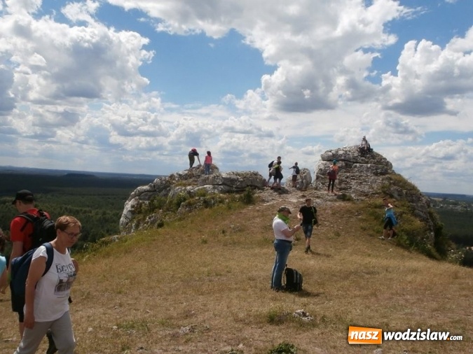 Zdjęcie w galerii na portalu naszwodzislaw.com: Podziwiali uroki Jury Krakowsko-Częstochowskiej  wiadomości z regionu