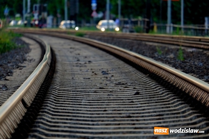 Zdjęcie w galerii na portalu naszwodzislaw.com: Podziwiali uroki Jury Krakowsko-Częstochowskiej  wiadomości z regionu