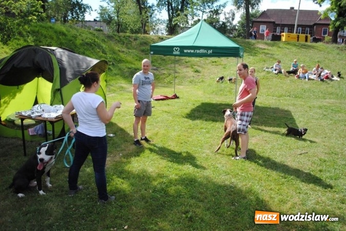 Zdjęcie w galerii na portalu naszwodzislaw.com: W Radlinie psy obchodziły swoje święto. Przygotowano nawet... tort  wiadomości z regionu